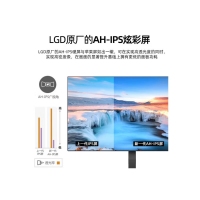 飞利浦（PHILIPS）242E2FE 23.8英寸 75Hz刷新LGD-IPS 四边微边框全面屏 可升降办公家用显示器